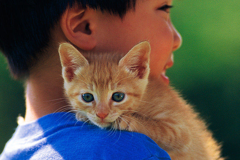 しつけ方・飼い方 しつけ方・飼い方