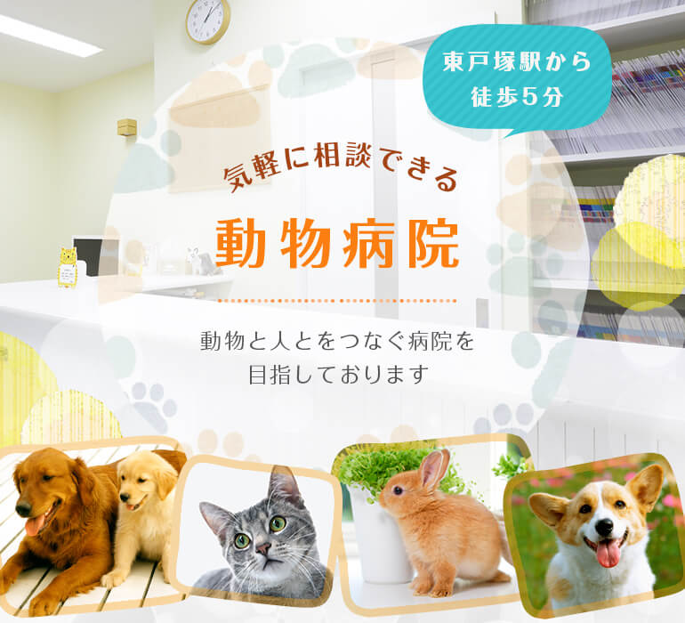 何でも相談できる動物病院 ペットたちのおやつを用意してお待ちしております。いつでもお気軽にどうぞ。東戸塚駅から徒歩5分