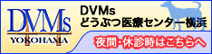 DVMs どうぶつ医療センター横浜